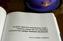 Violence against women in the final report of the Colombian Truth Commission: perspectives from the Latin American experience
