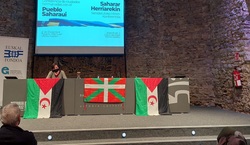 La Conferencia de Ciudades Hermanadas con el Pueblo Saharaui finaliza con una resolución dirigida a fortalecer la solidaridad desde las institucion...